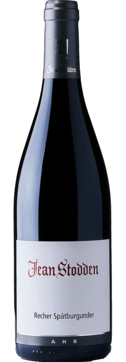 Recher Herrenberg Spätburgunder D.Q.